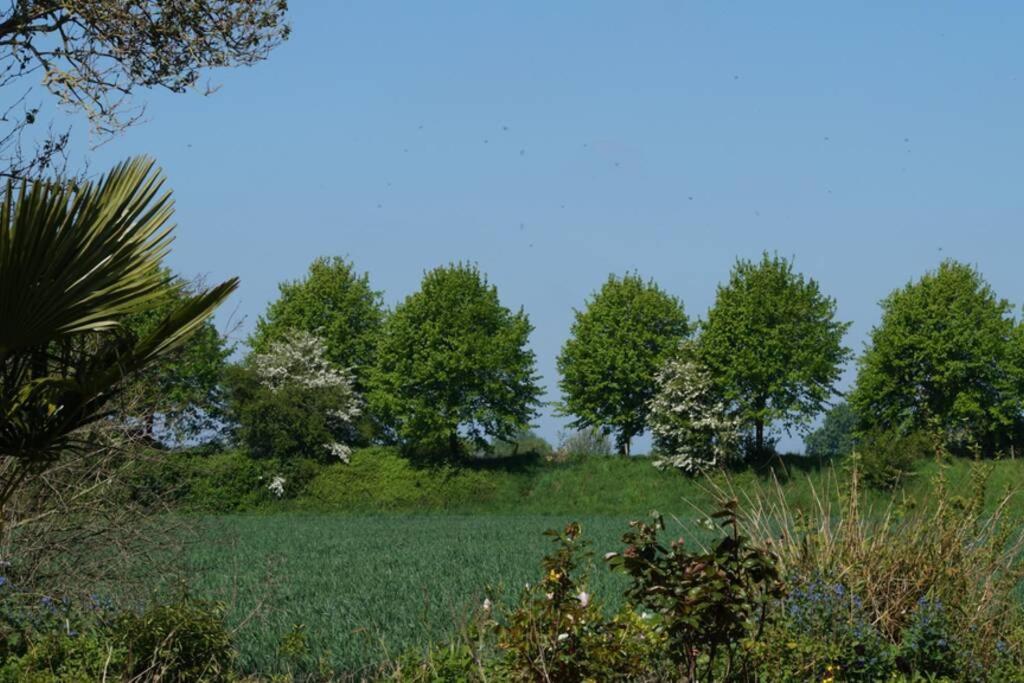Vakantiewoning Het Olietunnetje Ovezande Exterior foto