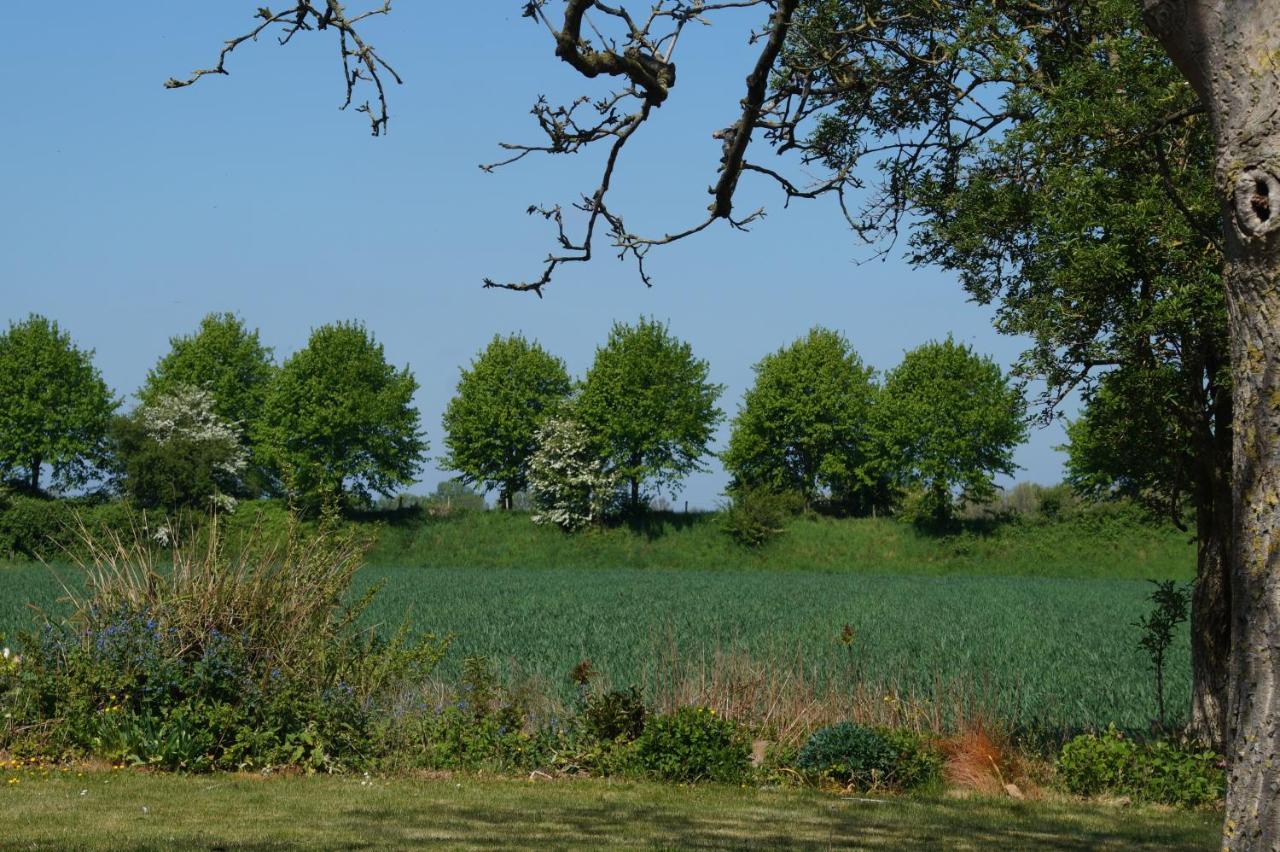 Vakantiewoning Het Olietunnetje Ovezande Exterior foto